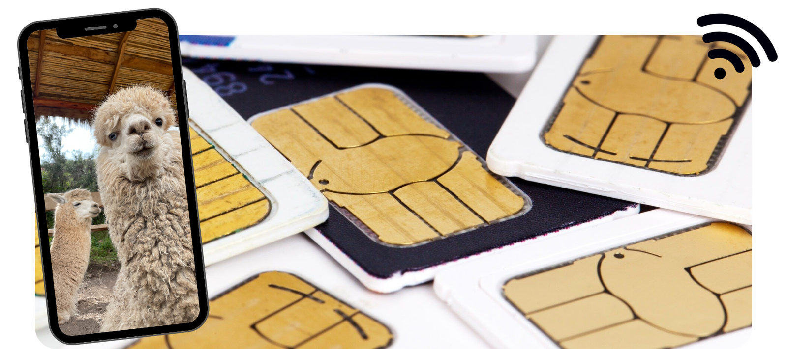 Read more about the article Reisen ins Ausland: Welche SIM-Karte brauchst du wirklich?