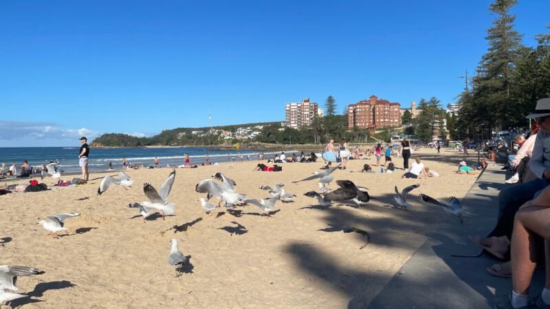 Essen am Strand wird zur Herausforderung