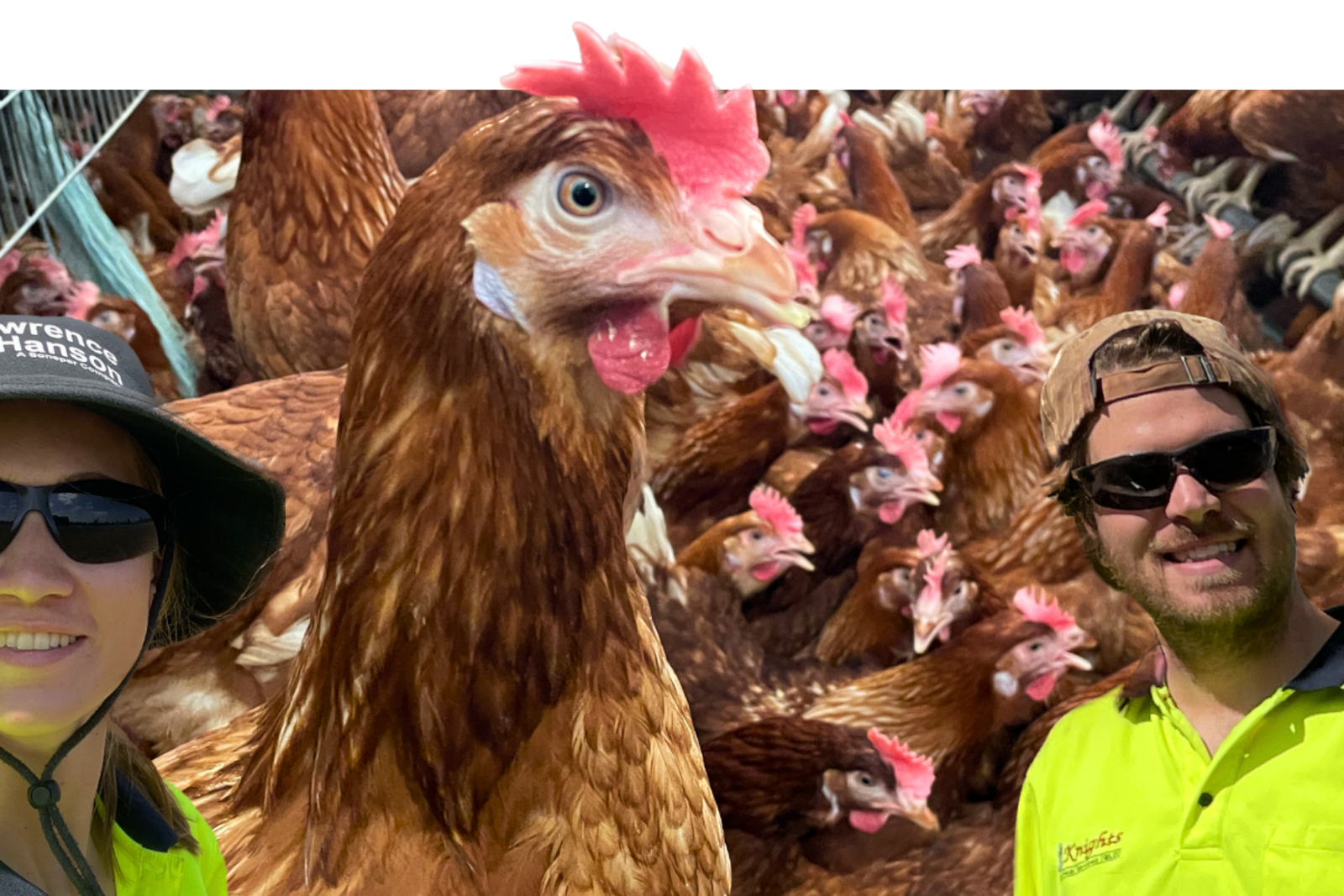 #43 – Australien, Millmerran – Arbeiten in Australien