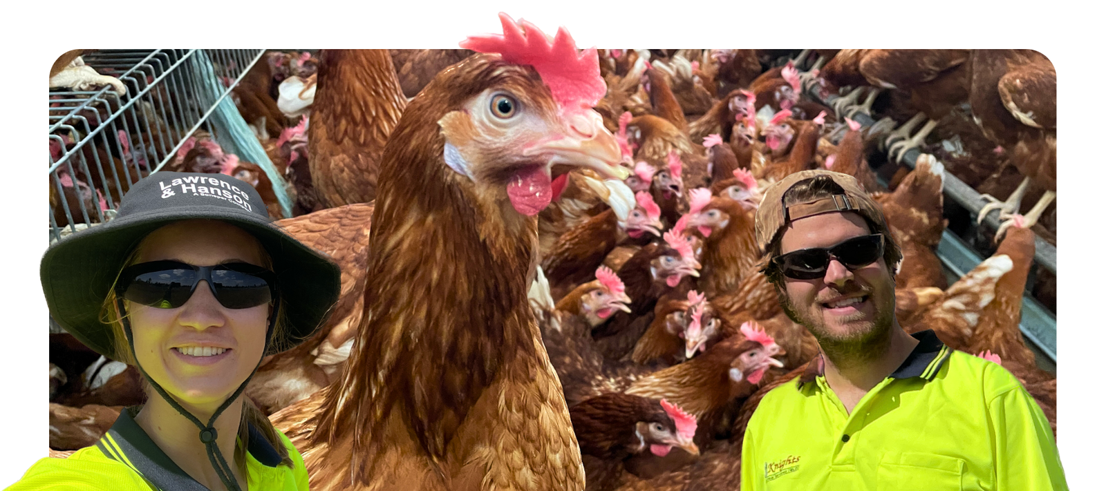 Read more about the article #43 – Australien, Millmerran – Arbeiten in Australien