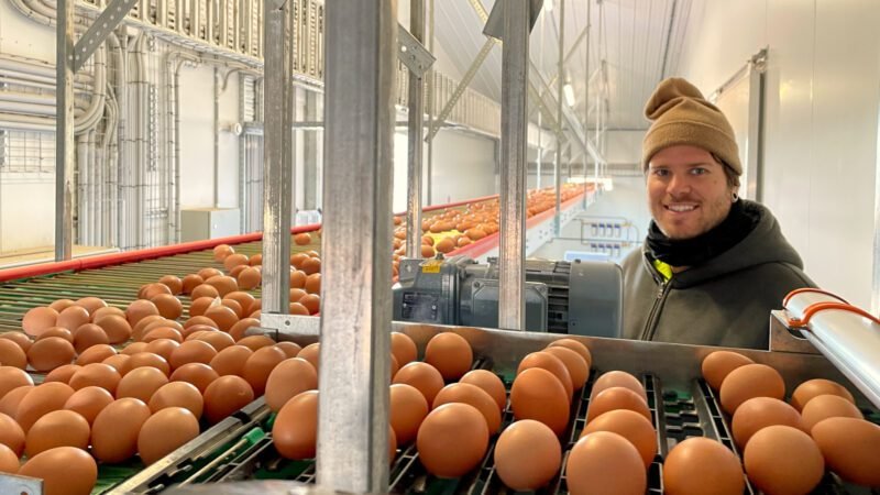 Wir haben oft am "Egg-Flow" gearbeitet